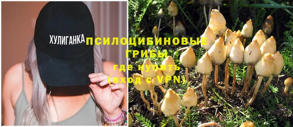 марки nbome Корсаков