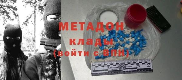 стаф Алзамай