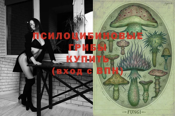 кокс Костерёво
