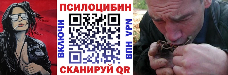 сколько стоит  Мостовской  Псилоцибиновые грибы мицелий 